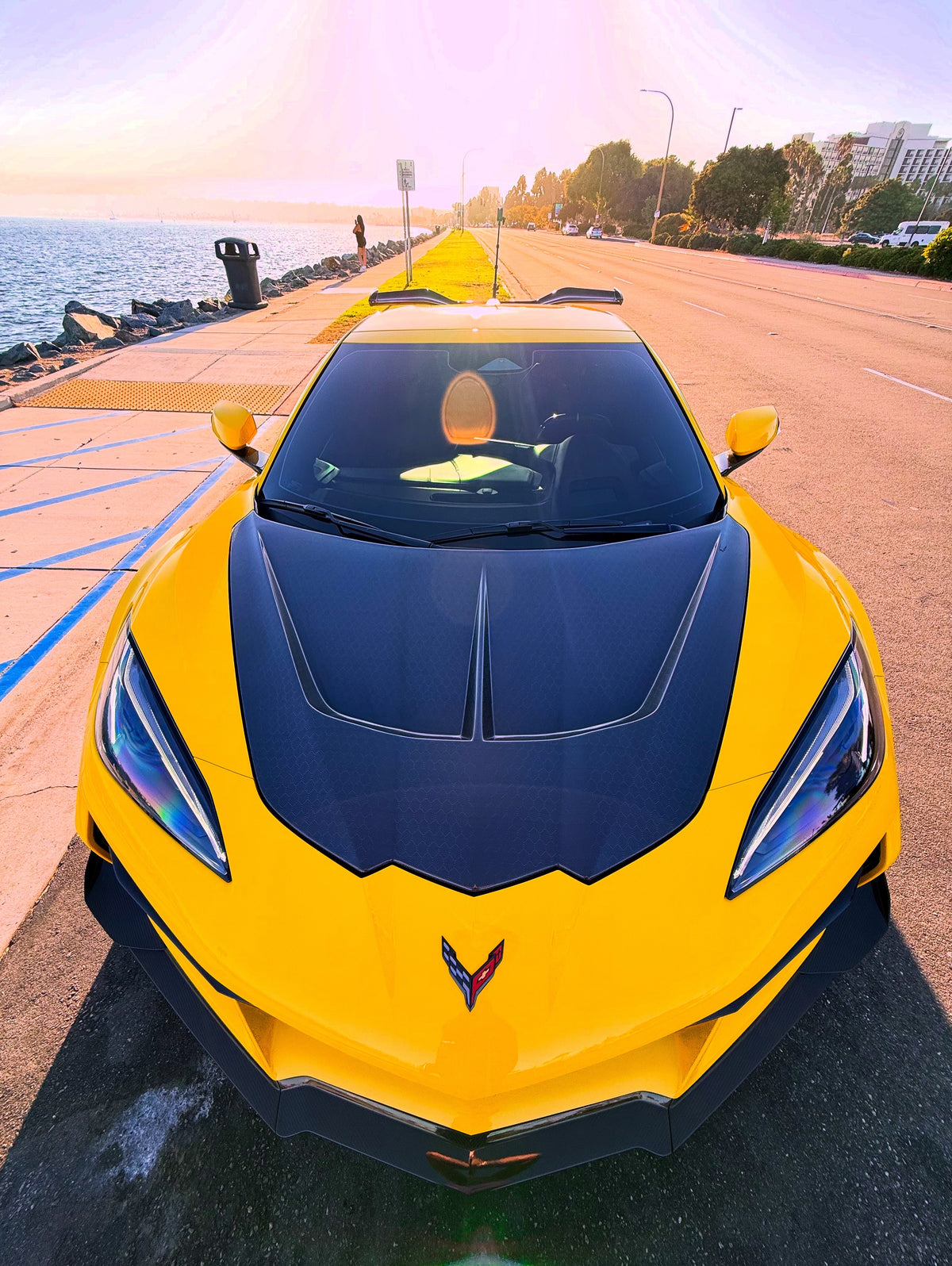 C8 CARBON ST HOOD